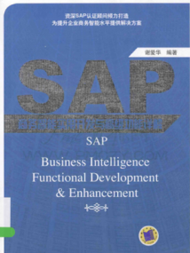 SAP商务智能实用开发与高级功能详解 PDF 412页