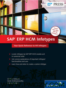 SAP ERP HCM Infotypes PDF 533ҳ